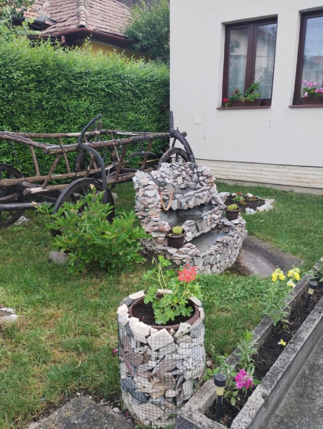 Casa Darius Cluj Daire Dış mekan fotoğraf